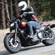 Illustration for article titled The Idiots Guide To All Eight New Harley-Davidson Cruisers
